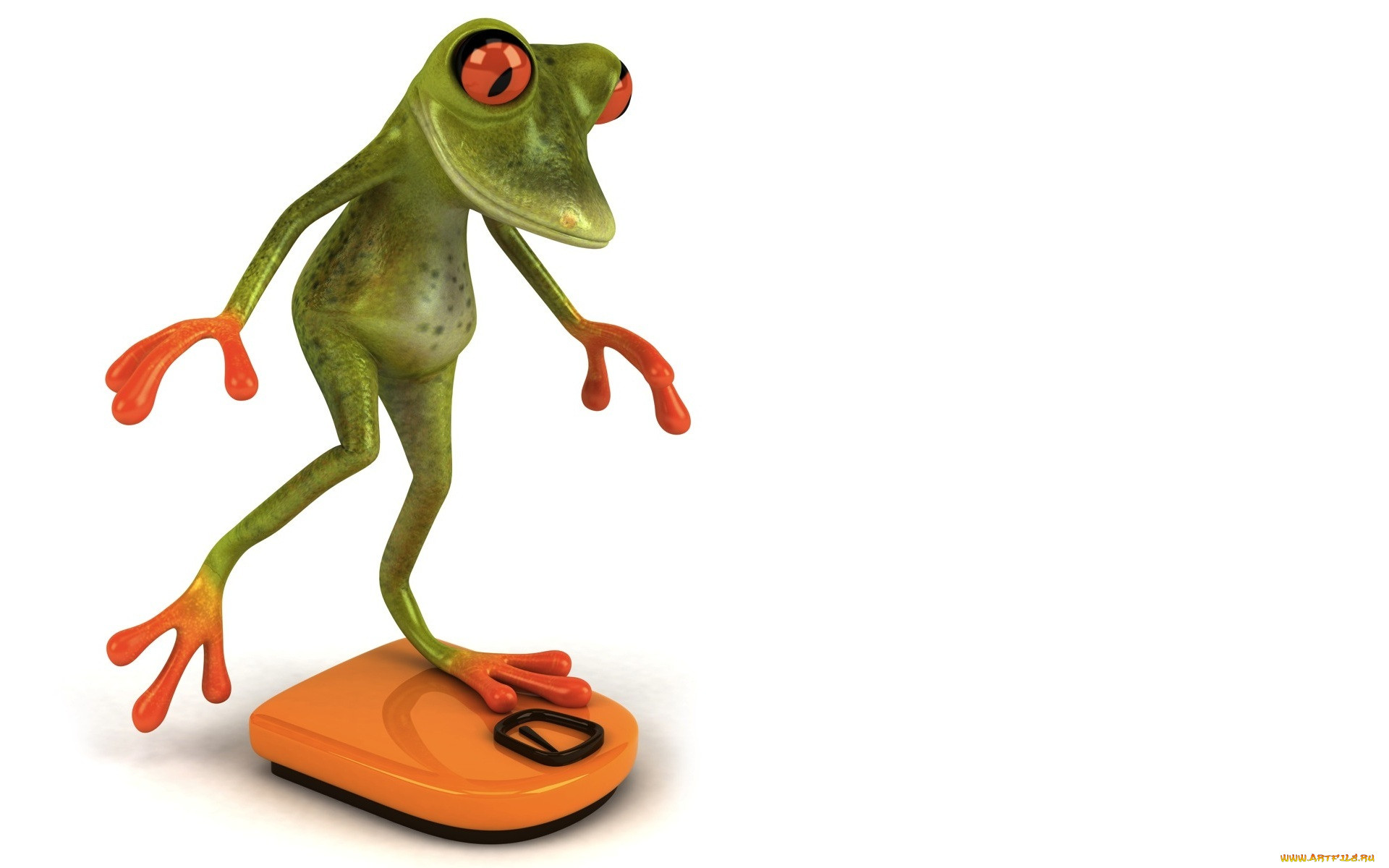 3 ,  , humor, , free, frog, , , 